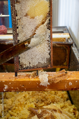 La récolte du miel chez un apiculteur