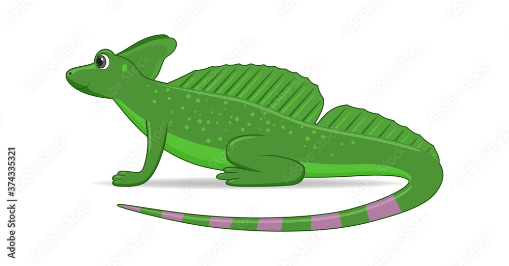 Basilisk lizard animal standing on a white background Basilisk lizard animal standing on a white background