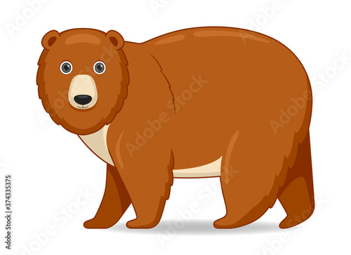 Grizzly bear animal standing on a white background