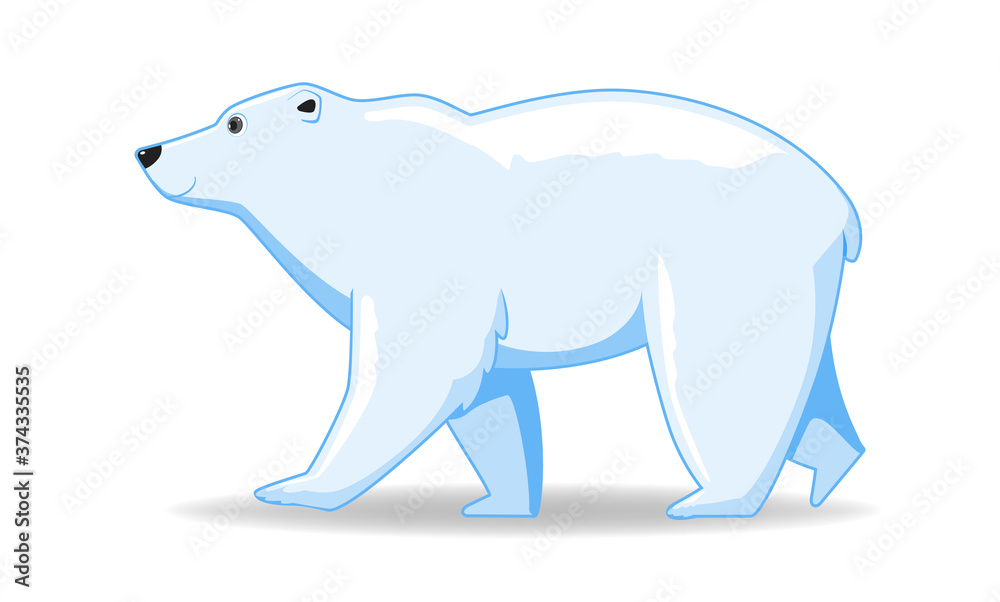 Fototapeta premium Polar bear animal standing on a white background