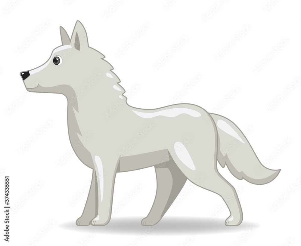 Polar wolf animal standing on a white background