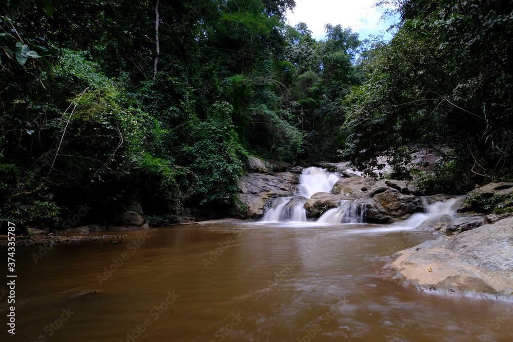 Fototapeta premium waterfall in the forest