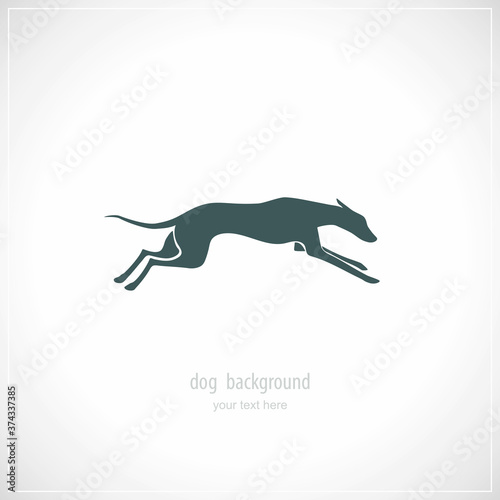 Silhouette of running dog whippet breed