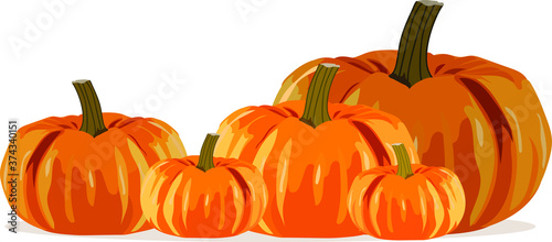 A set of ripe pumpkins of different sizes.