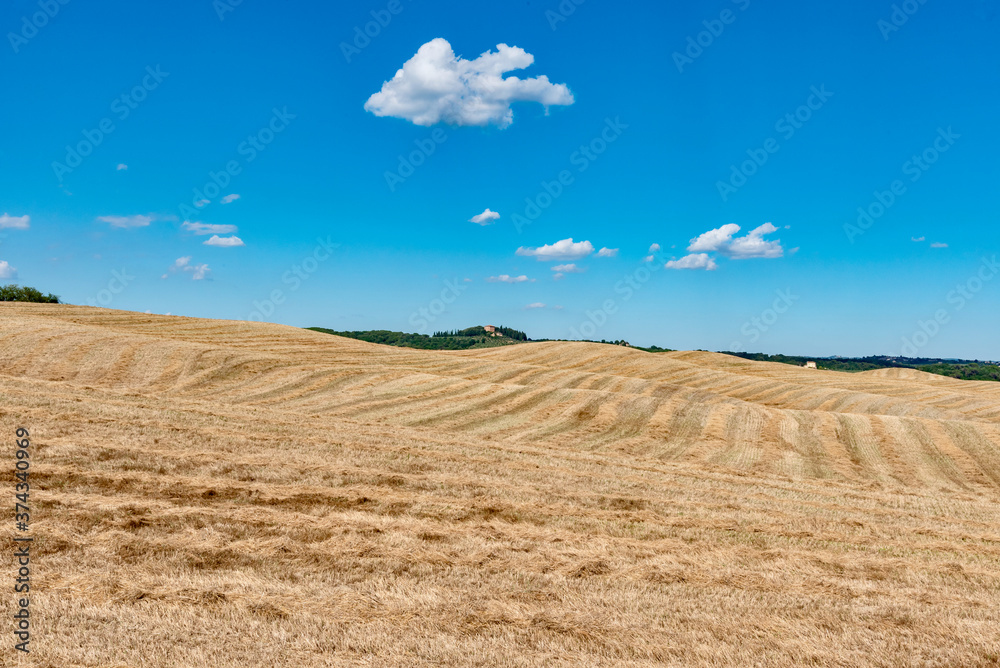 Chianti hills in summer province of Siena Tuscany