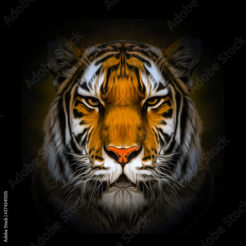 tiger on black background