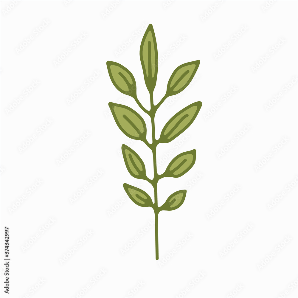 Fototapeta premium flower simple botanical illustrations, line artwork, minimal design elements. elegant and delicate plant doodles for branding, wedding invitation, graphic design. spring floral clip art , feminine art