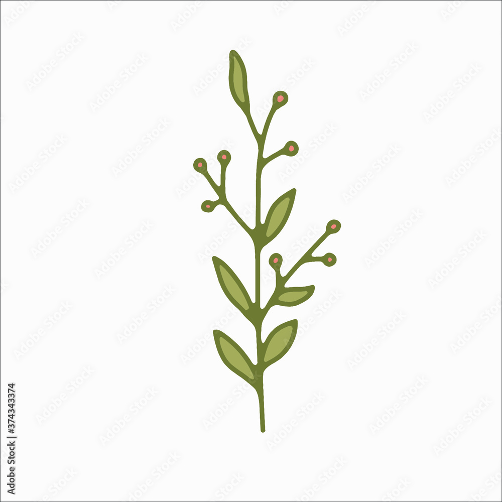 flower simple botanical illustrations, line artwork, minimal design elements. elegant and delicate plant doodles for branding, wedding invitation, graphic design. spring floral clip art , feminine art flower simple botanical illustrations, line artwork, minimal design elements. elegant and delicate plant doodles for branding, wedding invitation, graphic design. spring floral clip art , feminine art