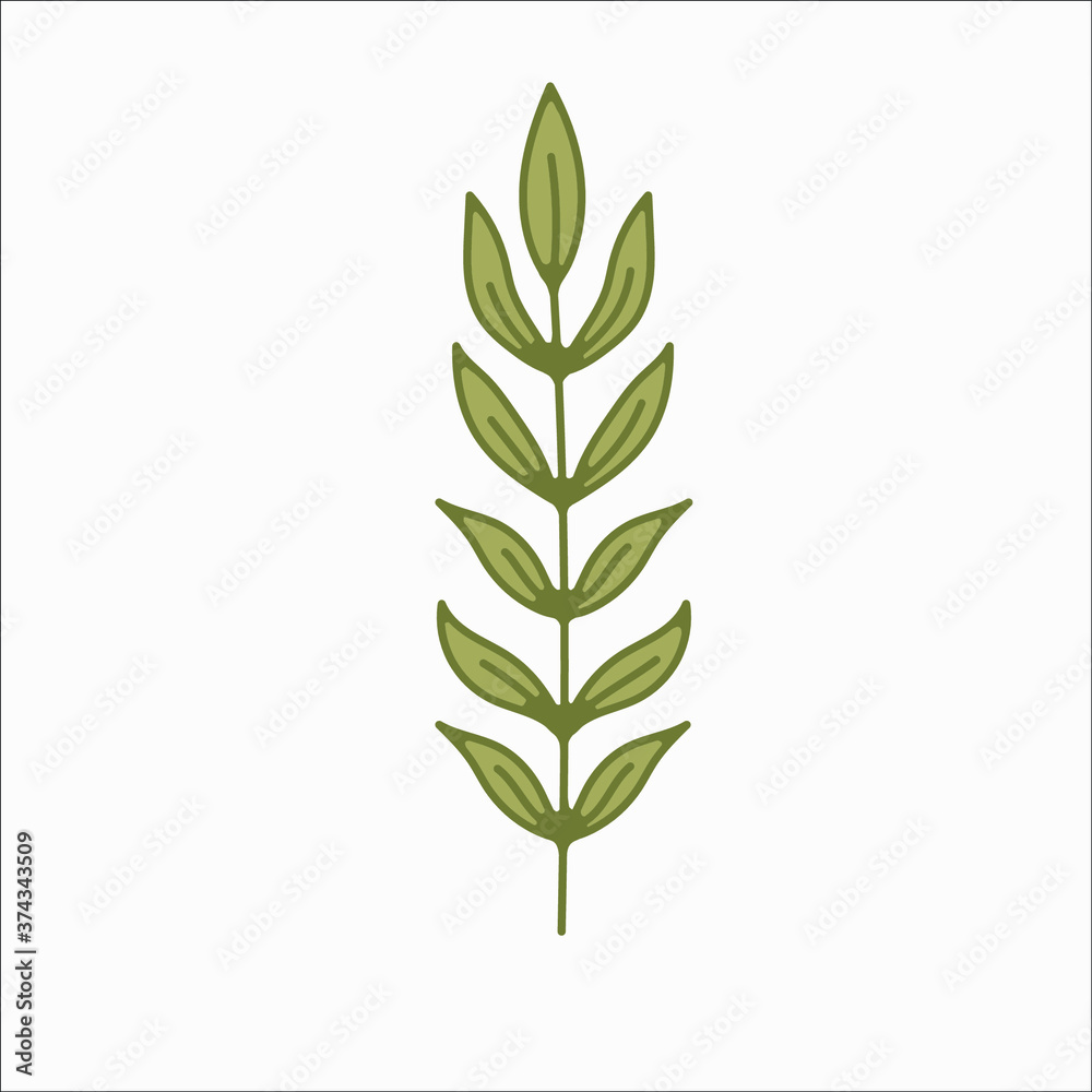 flower simple botanical illustrations, line artwork, minimal design elements. elegant and delicate plant doodles for branding, wedding invitation, graphic design. spring floral clip art , feminine art flower simple botanical illustrations, line artwork, minimal design elements. elegant and delicate plant doodles for branding, wedding invitation, graphic design. spring floral clip art , feminine art