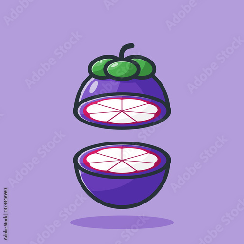 mangosteen fruit vector illustration design halved