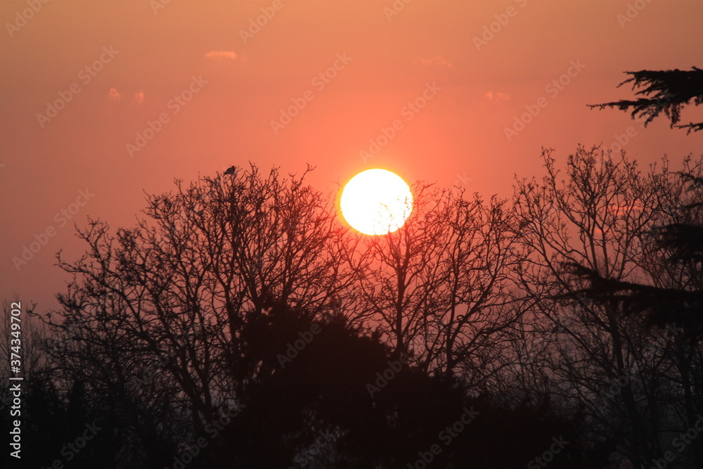 Fototapeta premium Winter Sunrise