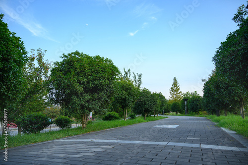 road in the park