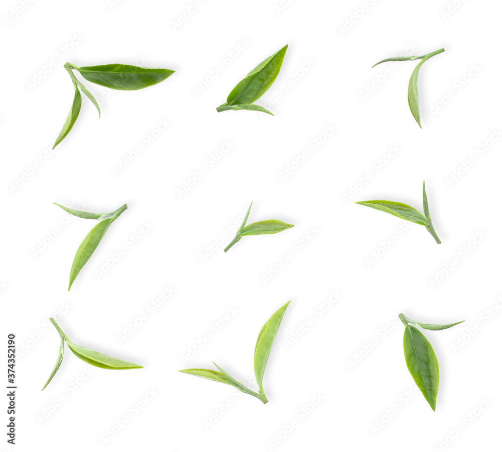green tea leaf isolated on white background green tea leaf isolated on white background