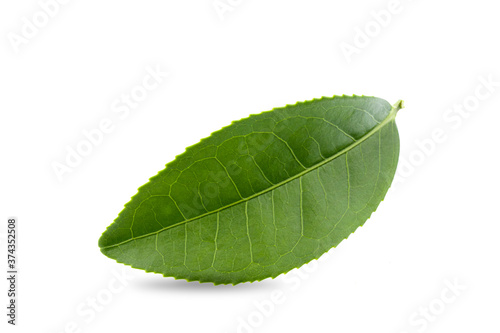 green tea leaf isolated on white background