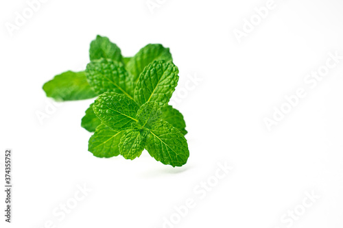 Beautiful mint leaves stack isolated on white background