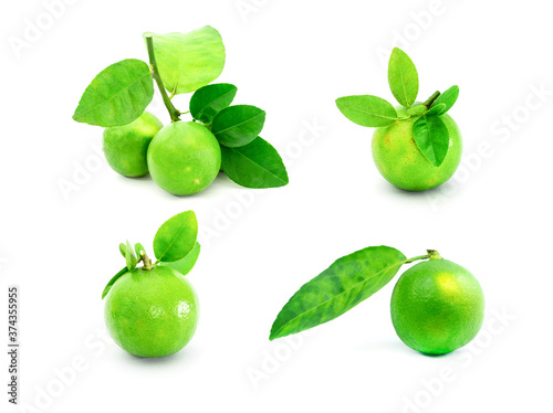 Collection of natural green lemons on a white background..