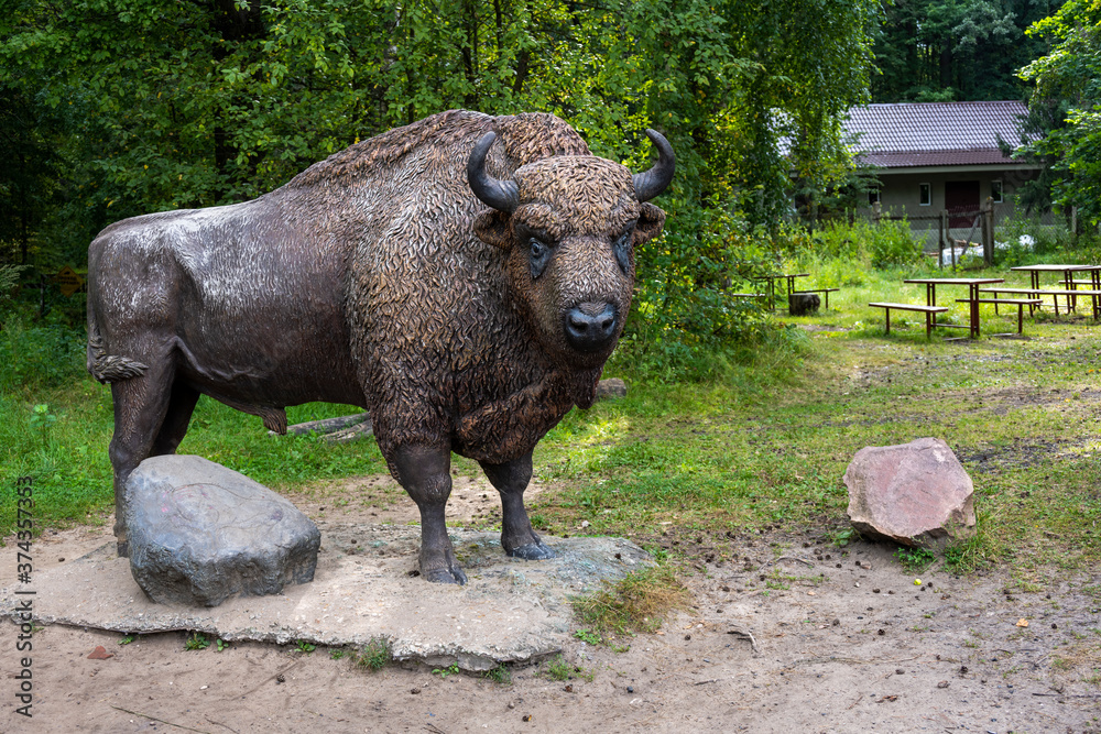Fototapeta premium a monument to the Central Russian bison on the territory of the reserve