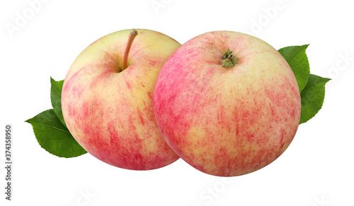 rustic apple isolated on white background with clipping path.