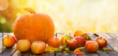Autumn harvesting background with pumpkin and apples on sunlight nature background