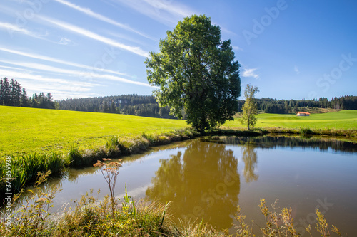 Weiher bei Rückholz