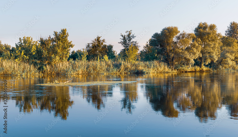 Scenery of silent rural lake near green forest.