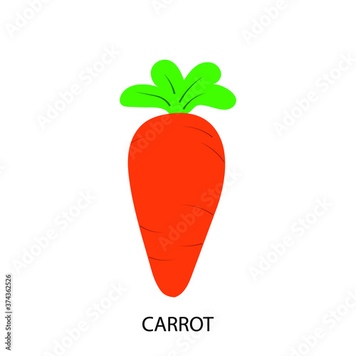 carrot isolated on white. Vector illustration