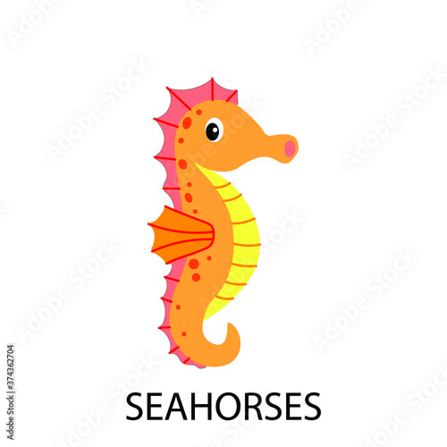 Seahorses on white background. Vector illustration
