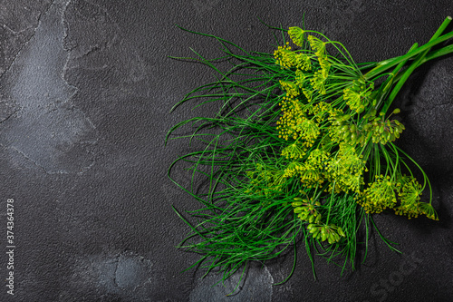 Fresh Dill (Anethum graveolens) leaves, florets, fruits atop black textured backdrop w/ copy space,  top view photo
