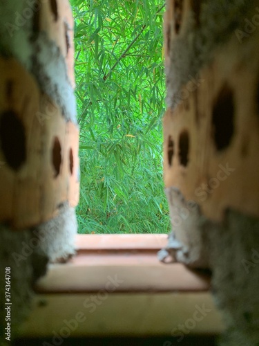 Fresh green bamboo leaves behind orange brick and grey concrete window slot with selective focus.