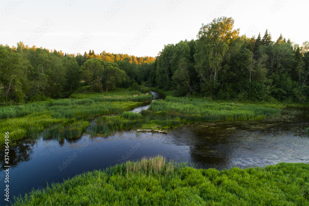 An evening by a river with lush and green banks during summer in Estonian nature. 