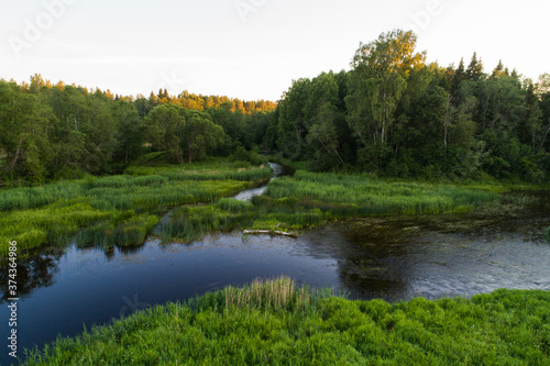 Fototapeta Naklejka Na Ścianę i Meble -  An evening by a river with lush and green banks during summer in Estonian nature. 