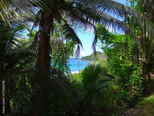 Seychelles  Indian Ocean  Silhouette Island  Anse Lascars beach trail