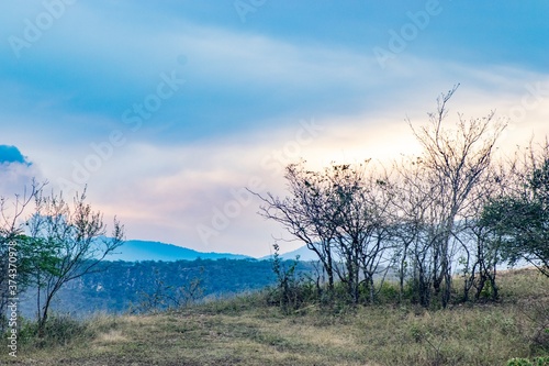 sunset in the field