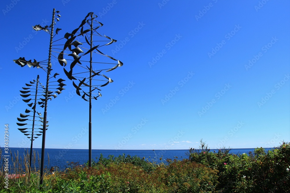 Fototapeta premium Wind Art