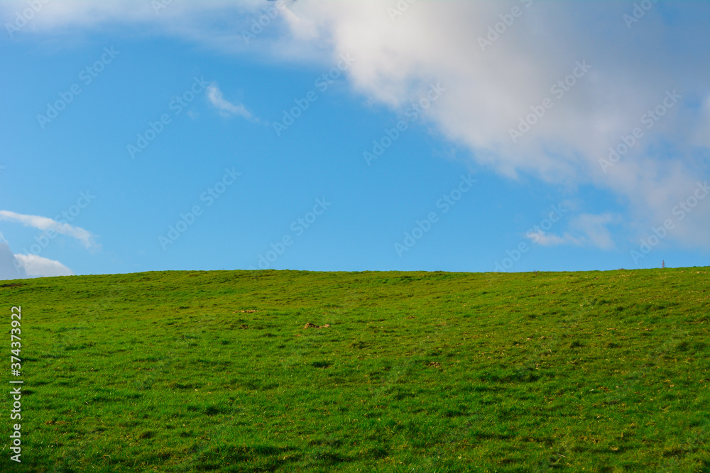 A peaceful minimalist green field with a bright blue sky in the countryside A peaceful minimalist green field with a bright blue sky in the countryside