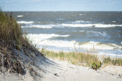 Fototapeta Naklejka Na Ścianę i Meble -  sand dunes on the beach