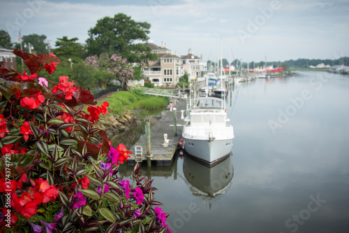 Flowers with soft Lewes, Delaware Canal in background