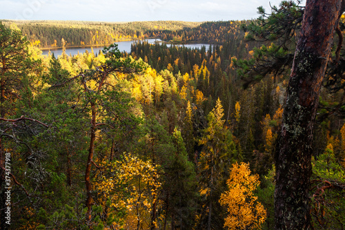 A view to a beautiful and colorful taiga forest and a lake in the background during an autumn foliage in Oulanka National Park, Northern Finland. 