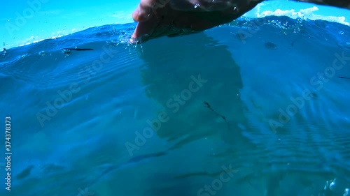 First person submerged view of swimming crawl in the sea. Point of view. Male hands visible while swinging on surface and underwater. Active summer vacation. Slow motion, wide shot