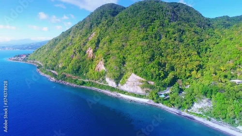 Hill covered with a forest photo