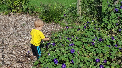Young Child in Flower Garden
