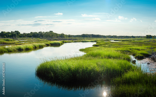 Winding River through green marshland. Blue water, cloudy blue sky, and reflections of the sun.