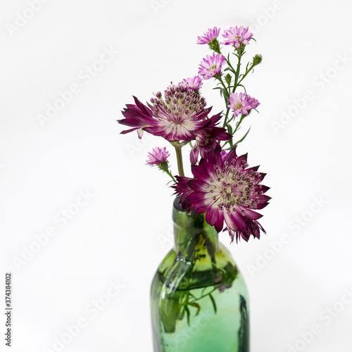 Bouquet of purple astrantia in a small bottle