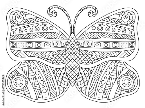 Detailed ornamental symmetry butterfly vector coloring page. Cartoon funny bug nature horisontal printable worksheet. Black outline isolated on white.