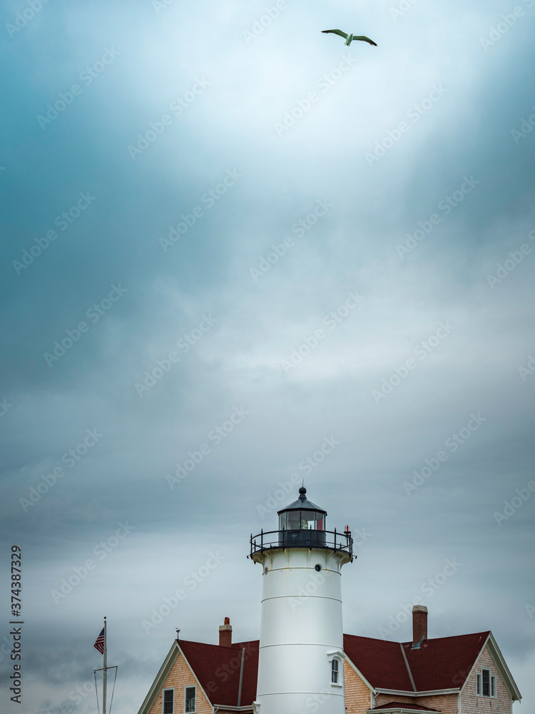Lighthouse landscape with a seagull flying high on dramatic cloudy sky backgrounds