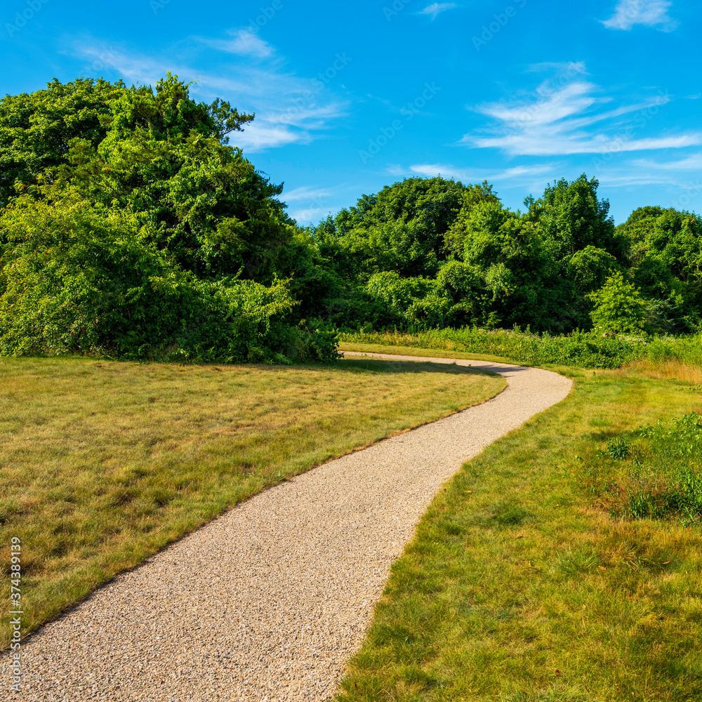 Walking path on the meadow curved into the forest