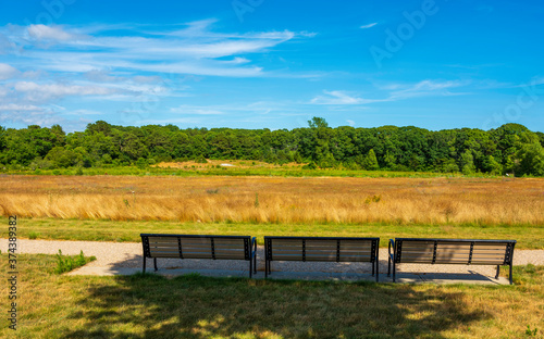 Outdoor grass field landscape with three benches on a sunny summer day on Cape Cod