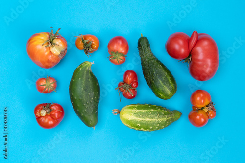 Obraz na plátně Seasonal harvest natural organic chemical free ugly misfits vegetables red tomat