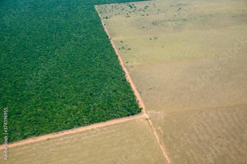Vista aérea de area de cerrado desmatada para plantio de grãos photo