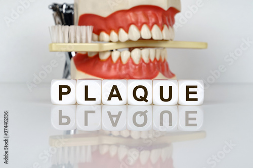 The text is written on the cubes - PLAQUE. In the background  a model of the jaw with a toothbrush. Prevention of dental diseases.